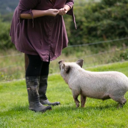 Cwtch Farm Bed & Breakfast Ystalyfera Esterno foto
