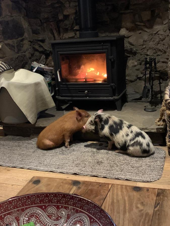 Cwtch Farm Bed & Breakfast Ystalyfera Esterno foto