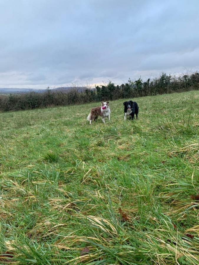 Cwtch Farm Bed & Breakfast Ystalyfera Esterno foto